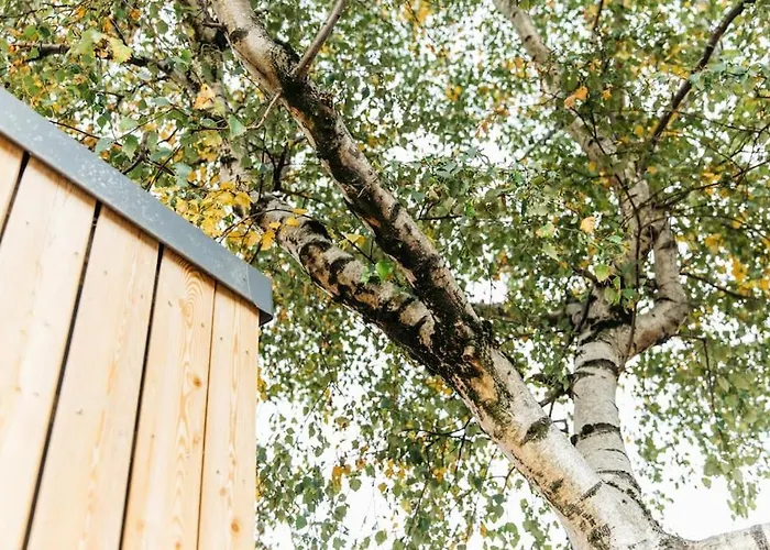 Apartamento Delores Eco-pod / Treehouse, Walk To Cabot Circus